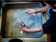 Bất bình đẳng giới trong việc làm có một phần nguyên nhân từ thời thơ ấu